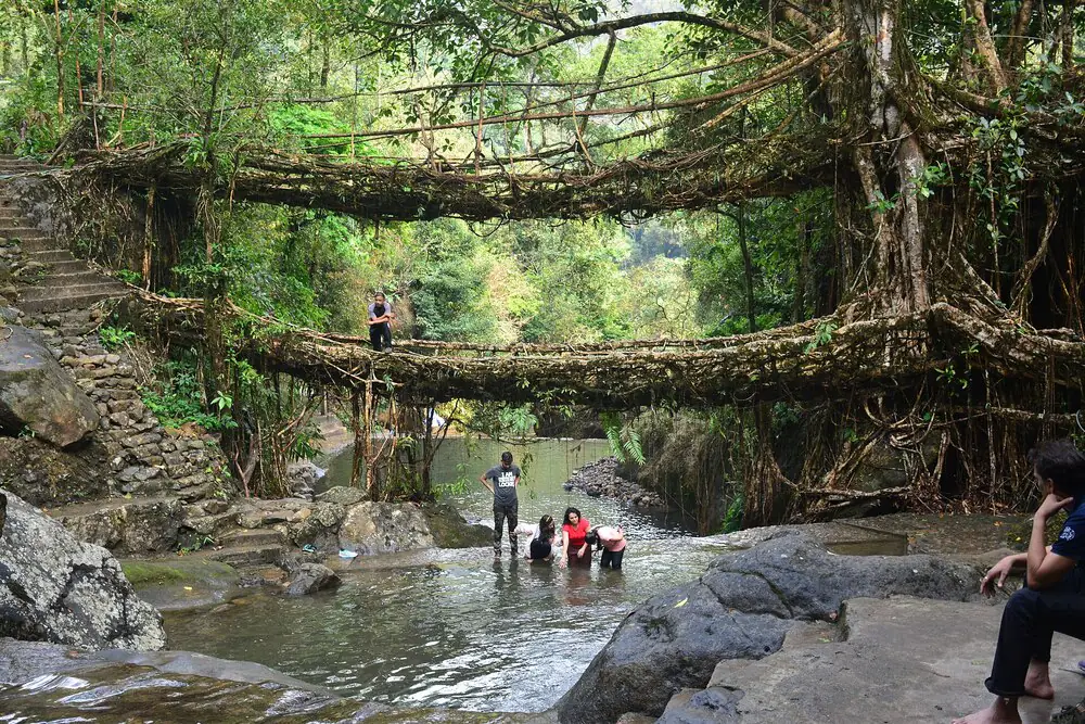 Double-decker root bridge, Meghalaya